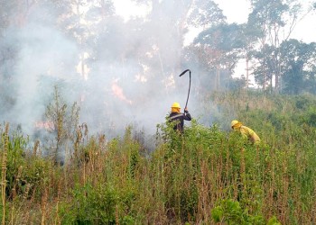 “En el período más crítico se redujeron un 35% los focos de incendios en Misiones”
