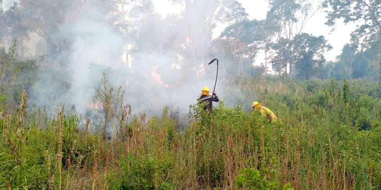 POSITIVO. La experiencia vivida sirvió para avanzar sobre acciones preventivas, y los índices así lo reflejan.