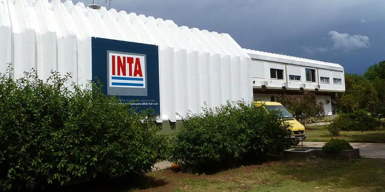 Imágen ilustrativa.