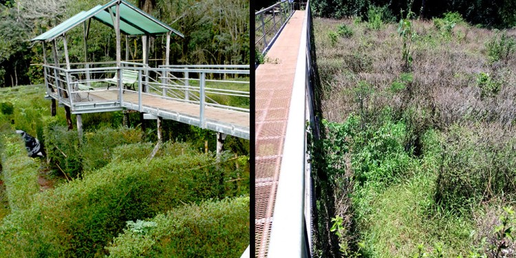 ABANDONO. El laberinto vegetal más grande de Sudamérica fue atacado por hormigas mineras.