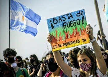 Amnistía Internacional reclamó el “urgente” tratamiento para la Ley de Humedales