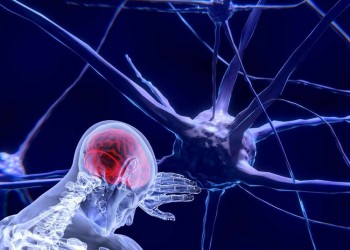 Crean neuronas artificiales que imitan las funciones de las biológicas