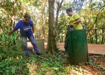 Realizaron una jornada de plogging en el Salto Küppers