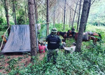 Detuvieron a tres cazadores furtivos en San Pedro