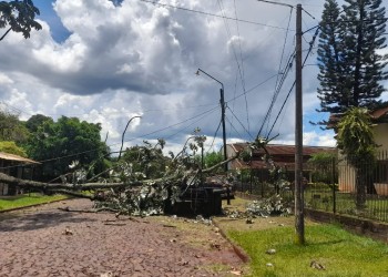 Fuerte tormenta  causó daños en Oberá