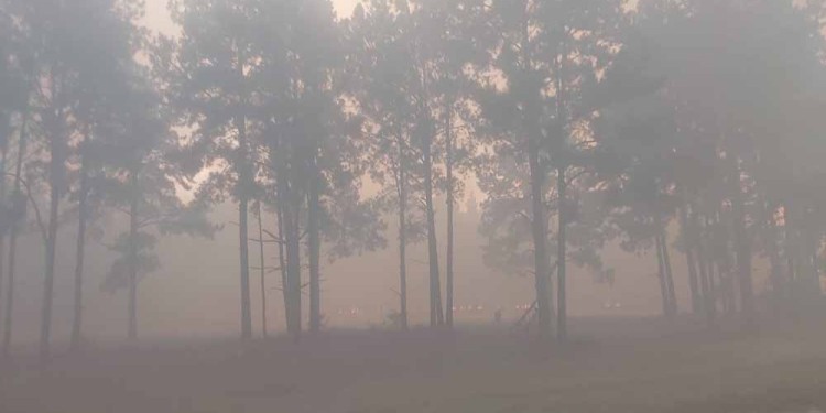 Corrientes registra 11 focos de incendio en 8 localidades 