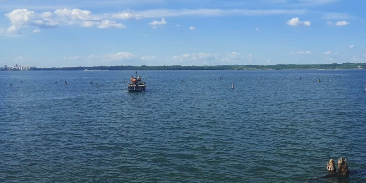 El joven se habría ahogado en una zona no habilitada para bañarse, en Nemesio Parma.