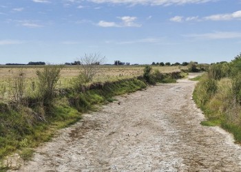 La sequía “borró” la frontera entre Buenos Aires y Santa Fe