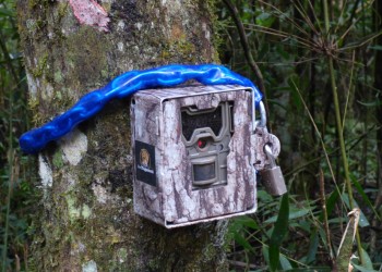 Denuncian robos y destrozos dentro del Parque Nacional Iguazú
