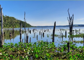 El sábado se “inaugura” el Parque Federal Campo San Juan