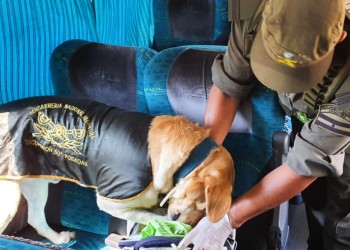 Detienen a una pasajera con más de un kilo de cocaína en El Arco