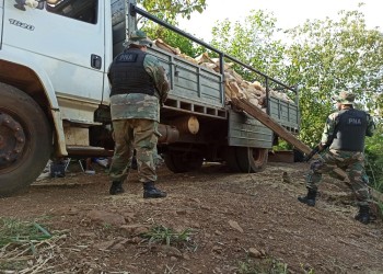 Secuestran más de 9 toneladas de soja que iban a cruzar de manera ilegal a Brasil