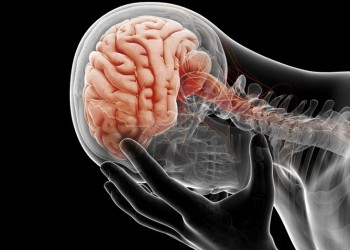 Cuidar la salud del cerebro: qué debemos tener en cuenta