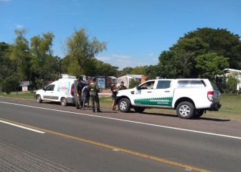 Interceptan contrabando de surubíes en Corrientes