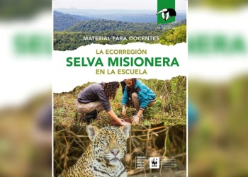 Vida Silvestre lanzará un cuadernillo educativo sobre la selva misionera