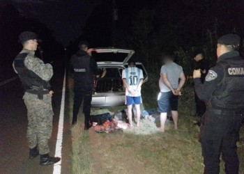 Llevaban en el baúl carne faenada de pecarí