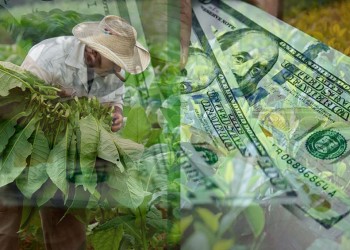 Tealeros y tabacaleros insistieron con un dólar diferencial y otros pedidos a la Nación