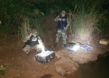 Hallaron 155 kilos de marihuana escondida en el río Paraná
