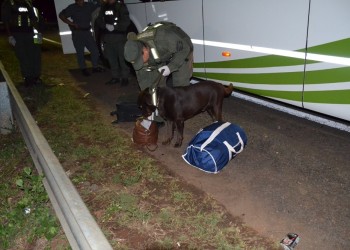 Detectan droga en dos micros que habían partido desde Misiones