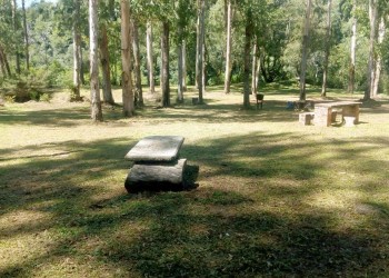 Vecinos se quejaron en redes y la comuna limpió el parque Faubel