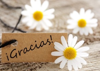 Por qué hoy es el Día Internacional del Agradecimiento