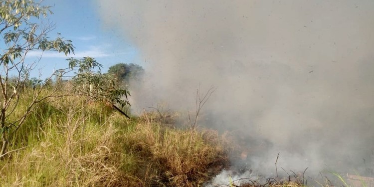 COMPLEJO. Los pastizales están muy secos en varias zonas de Misiones.