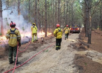 Corrientes en llamas: el fuego no da tregua en Villa Olivari