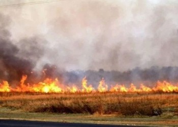 Corrientes: por avance de las llamas cerraron el Portal Carambola ubicado en el Parque Iberá