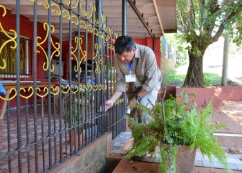 Continúan los controles domiciliarios contra el dengue en Oberá