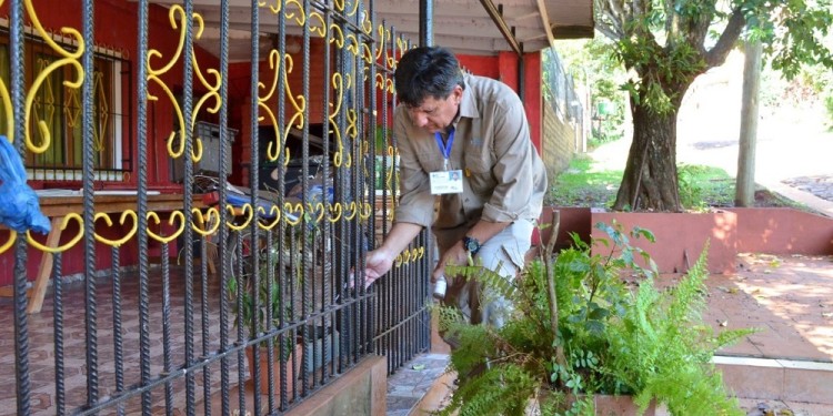 PREVENCIÓN. La inmunización no debe incidir en un relajamiento social respecto al control del vector.