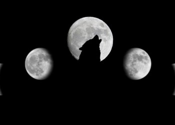 En vísperas de Reyes Magos, se podrá ver la “Luna de Lobo”: de qué se trata