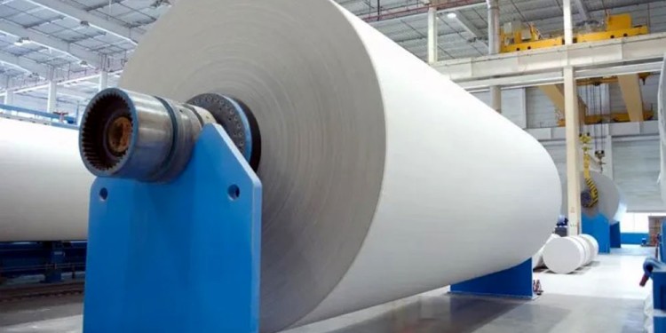 EFECTOS. Apuntaron a las dificultades que representa el Sistema de Importación que implementó la Nación.