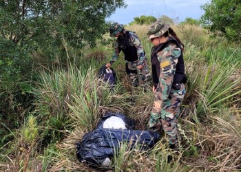 Secuestraron más de 50 kilos de marihuana en Candelaria