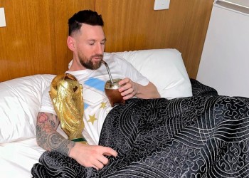 La ciencia avanzó en investigaciones sobre los efectos del mate sobre el cerebro