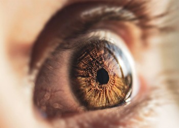 En 2022 el Hospital Madariaga registró 15 trasplantes de córneas