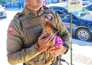 Un argentino fue demorado en Camboriú por dejar el perro en el auto