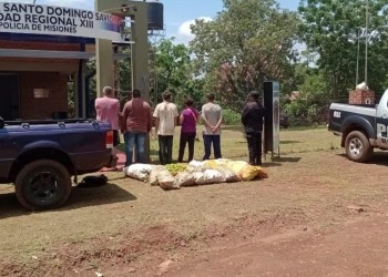 Robaban limones de una chacra y terminaron detenidos