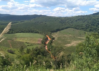 Kaapuera salió al cruce del ministro de Ecología, Víctor Kreimer, por la “salud de la selva”