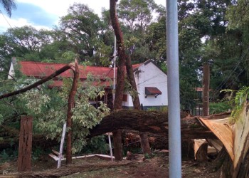 Violento temporal de lluvia y viento golpeó a Virasoro