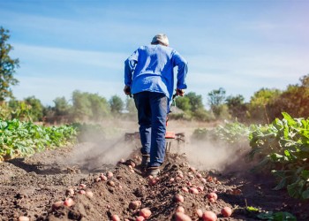 El Gobierno oficializó el bono extraordinario de $50.000 para trabajadores rurales