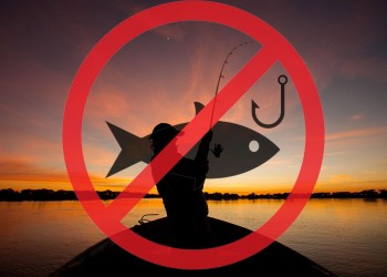 Por bajante, prorrogan las restricciones de pesca en el río Uruguay
