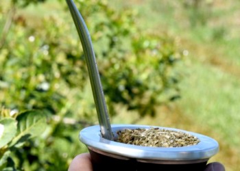 El consumo interno y las exportaciones de yerba mate superaron los 294 millones de kilos