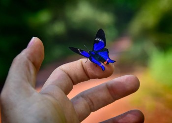 El misionero influencer de la biodiversidad