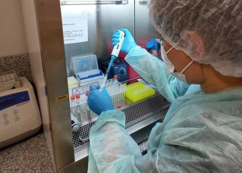 Se empieza a notar la demanda de testeos para chikungunya en los laboratorios: ¿cuánto cuestan?