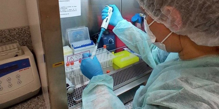 TESTEO. Indicaron que tanto el PCR como el test de antígenos Elisa son a partir de una muestra de sangre.