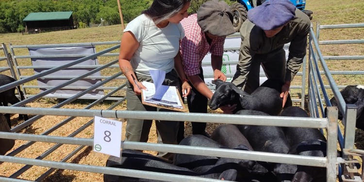 EXPECTATIVAS. Se cerró un 2022 con buenos resultados económicos.