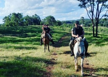 Incrementan operativos para combatir la delincuencia rural