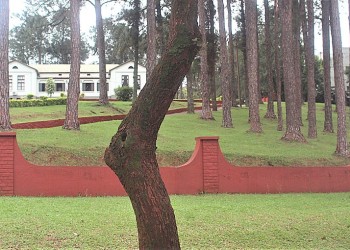 Detectan graves condiciones de detención en Eldorado