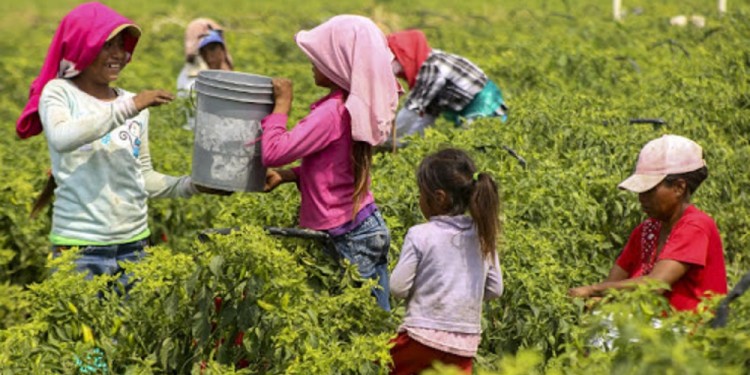 DERECHOS DE LA INFANCIA. Los niños tienen derecho a jugar, educarse y crecer en una familia y un país que garantice su alimentación y bienestar.