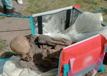 Hallan momia prehispánica en la bolsa de un repartidor de comida en Perú